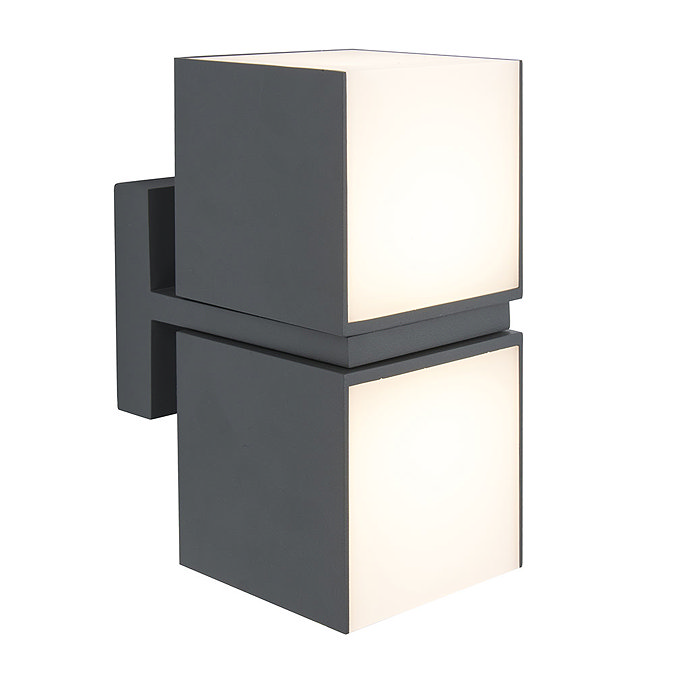 Revive Outdoor Twin Rotatable Dark Grey Wall Light Large Image