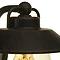 Revive Outdoor Vintage Black Bronze Down Lantern  In Bathroom Large Image