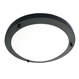 Revive Satin Black 2 x E27 Large Flush Ceiling Light Large Image