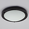 Ellis & Co Satin Black Small LED Flush Bathroom Ceiling Light