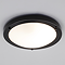 Ellis & Co Satin Black Small LED Flush Bathroom Ceiling Light