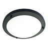 Revive Satin Black Small LED Flush Bathroom Ceiling Light Large Image