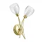 Revive Satin Brass/Clear 2-Light Wall Light Profile Large Image
