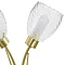 Revive Satin Brass/Clear 2-Light Wall Light Feature Large Image