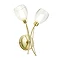 Revive Satin Brass/Clear 2-Light Wall Light Large Image