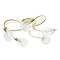 Revive Satin Brass/Clear Glass 5-Light Ceiling Light Profile Large Image