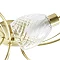 Revive Satin Brass/Clear Glass 5-Light Ceiling Light  Feature Large Image