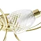 Revive Satin Brass/Clear Glass 5-Light Ceiling Light Feature Large Image