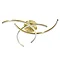 Revive Satin Brass Crossover LED Bathroom Ceiling Light Feature Large Image
