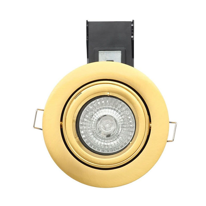 Revive Satin Brass Fire Rated Adjustable Downlight  Profile Large Image