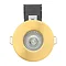 Revive Satin Brass IP65 Fire Rated Downlight  Profile Large Image