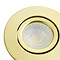 Revive Satin Brass IP65 LED Fire-Rated Tiltable Downlight  Feature Large Image