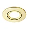 Revive Satin Brass IP65 LED Fire-Rated Tiltable Downlight Large Image