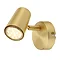 Revive Satin Brass Single Spotlight Large Image