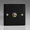 Revive Single Toggle Light Switch - Matt Black/Brass  Large Image