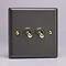 Revive Twin Toggle Light Switch - Slate Grey/Brass Large Image