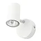 Revive White Single Spotlight Large Image