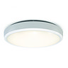 Revive WiFi/Bluetooth Ceiling and wall Light white - RV61CW Large Image