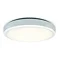 Revive WiFi/Bluetooth Ceiling and wall Light white - RV61CW Large Image