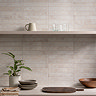 Riley White Rustic Stone Effect Wall Tiles - 50 x 300mm