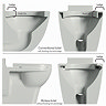 Ringo Rimless Modern Toilet with Soft-Close Seat