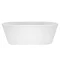 Rio Modern Free Standing Bath (1690 x 790mm) Standard Large Image