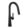 Riobel Ludik Single Lever Kitchen Mixer with Pull Down Spray - Black
