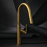 Riobel Ludik Single Lever Kitchen Mixer with Pull Down Spray - Brushed Gold