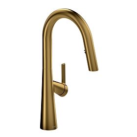 Riobel Ludik Single Lever Kitchen Mixer with Pull Down Spray - Brushed Gold