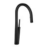 Riobel Solstice Single Lever Kitchen Mixer with Pull Down Spray - Black