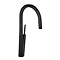 Riobel Solstice Single Lever Kitchen Mixer with Pull Down Spray - Black
