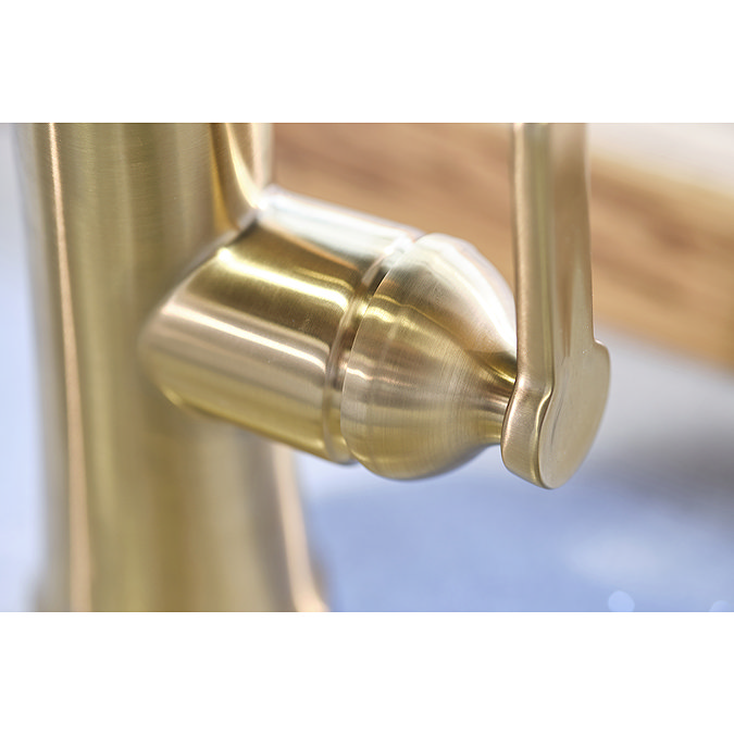 Riobel Trattoria Round Single Lever Kitchen Mixer with Pull Down Spray - Brushed Gold