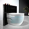 Roca In-Tank Meridian Back To Wall Toilet with Integrated Cistern + Soft Close Seat  Feature Large I