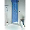 Roman Collage Hinged Shower Door  Feature Large Image