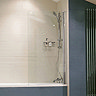Roman Haven8 Frameless Bath Screen Large Image