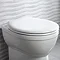 Roper Rhodes Neutron Soft Close Toilet Seat Feature Large Image