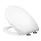 Roper Rhodes Proton Soft Close Toilet Seat Large Image