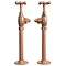 Rose Gold Angled Traditional Radiator Valves Large Image