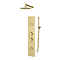 Roxbury Concealed Shower Tower Panel Brushed Brass