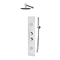 Roxbury Concealed Shower Tower Panel Chrome