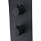 Roxbury Concealed Shower Tower Panel Matt Black	