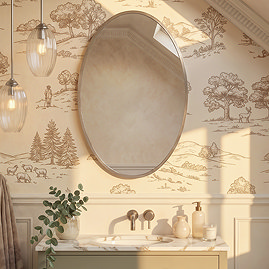 Roxbury Oval 550 x 800mm Brushed Nickel Mirror