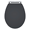 Roxbury Satin Anthracite Soft Close Toilet Seat with Chrome Hinges