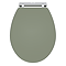 Roxbury Satin Green Soft Close Toilet Seat with Chrome Hinges 