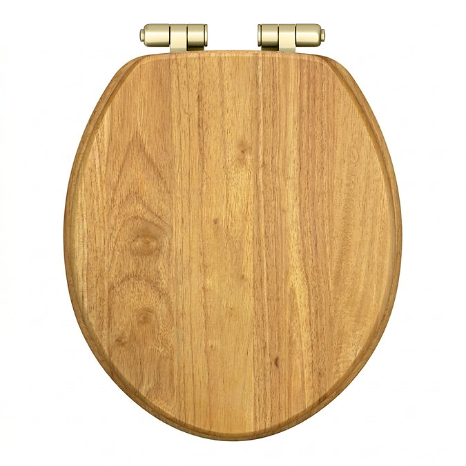 Roxbury Solid Antique Oak Wooden Toilet Seat with Brushed Brass Hinges