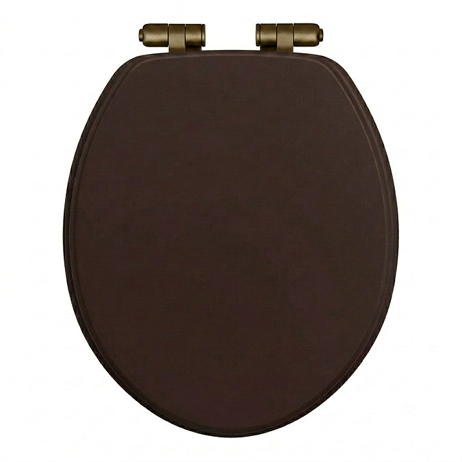 Roxbury Solid Mahogany Wooden Toilet Seat with Antique Brass Hinges