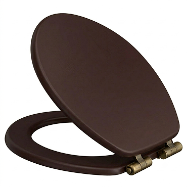 Roxbury Solid Mahogany Wooden Toilet Seat with Antique Brass Hinges