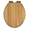 Roxbury Solid Oak Soft-Close Toilet Seat with Antique Brass Hinges