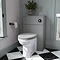 Roxbury Traditional 500mm Satin Grey WC Unit Only