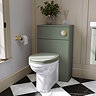 Roxbury Traditional 500mm Satin Green WC Unit Only